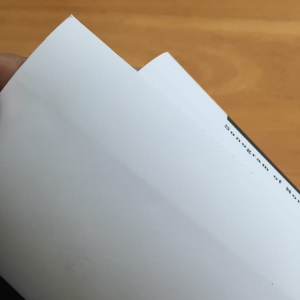 Photo of Copypilot