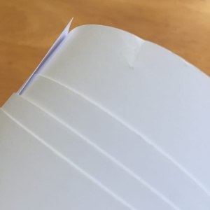 Photo of Copypilot