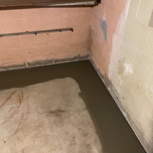 Photo of Homespec BasementFix