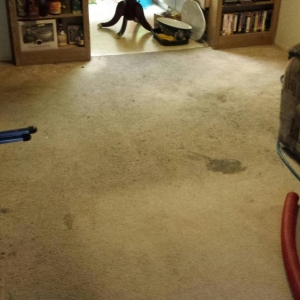 Photo of All Season Carpet Cleaning