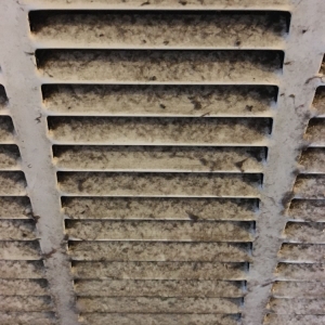 Photo of NYC Cleaning Forces