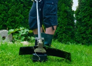 Photo of Green Country Weed and Pest