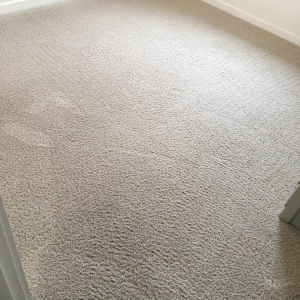 Photo of Oxi Fresh Carpet Cleaning