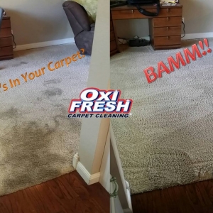 Photo of Oxi Fresh Carpet Cleaning