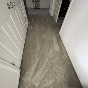 Photo of Master Carpet Cleaning