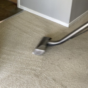 Photo of Master Carpet Cleaning