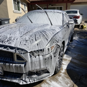Photo of Simple Suds Detail
