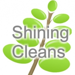 Denver Shining Cleans