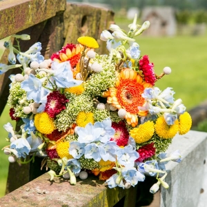 Photo of Mi Fiori Flowers