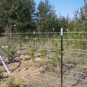 Photo of Patterson & Sons Fence