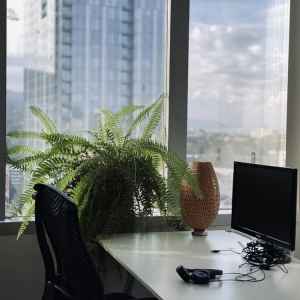 Photo of Collective Agency