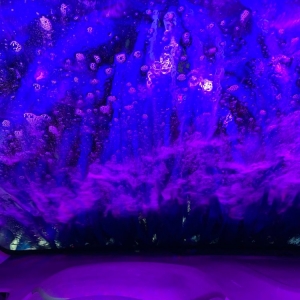 Photo of Tidal Wave Auto Spa - Kansas City