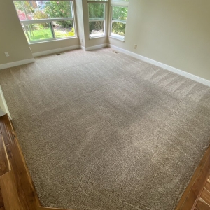 Castro Valley Carpet Master
