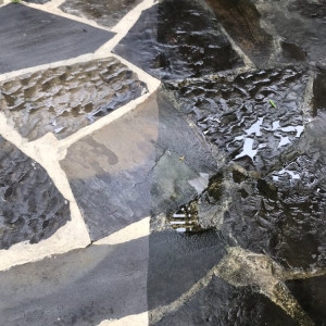 Photo of Bright Idea Pressure Washing