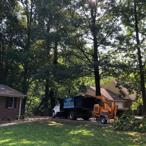 Photo of Cassello Tree Service
