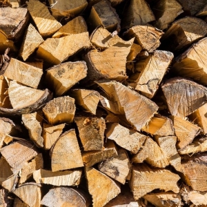 Photo of Cassello Tree Service