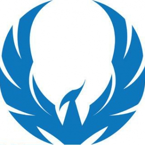 Photo of BluPhoenix Digital