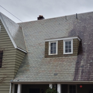 Photo of Panoramic View Window Cleaning and Roof Washing
