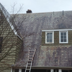 Photo of Panoramic View Window Cleaning and Roof Washing