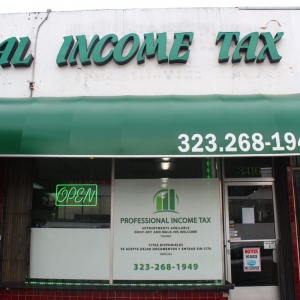 Photo of Professional Income Tax Service