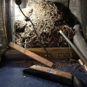 Photo of Chimney Cricket USA