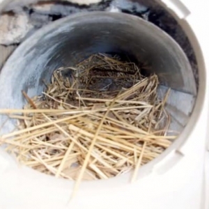 Photo of Chimney Cricket USA