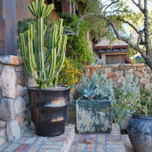 Photo of Green Solutions Landscaping