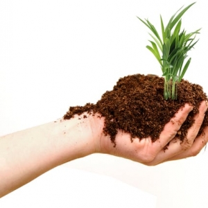 Photo of Green Solutions Landscaping