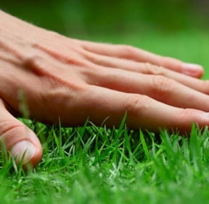 Photo of Green Solutions Landscaping