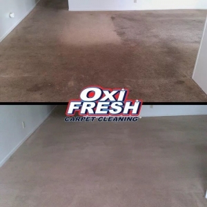Photo of Oxi Fresh Carpet Cleaning