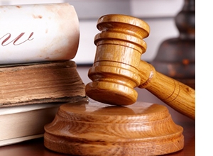 Photo of LeeAnn N. Barnes, Attorney at Law