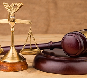 Photo of LeeAnn N. Barnes, Attorney at Law