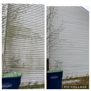 Photo of Absolute Cleaning Solutions