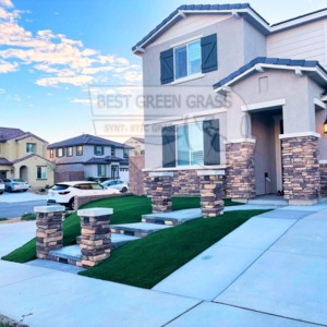 Photo of Best Green Grass