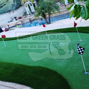 Photo of Best Green Grass