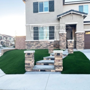 Photo of Best Green Grass