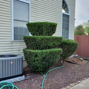 Photo of F Quiroz Landscaping