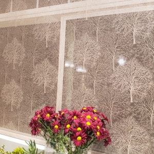Photo of Selene's Curtains