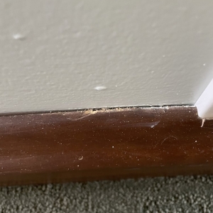 Photo of Macorp Premier Painting and Finishing