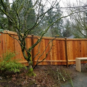 Photo of All Around Fence Co