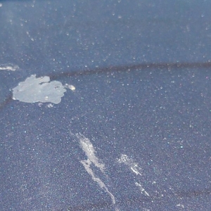 Photo of Club Car Wash