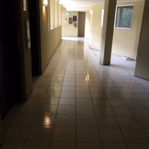 Photo of We Clean San Diego