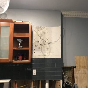Photo of Houston Mold Guys