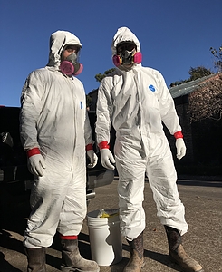 Photo of Houston Mold Guys