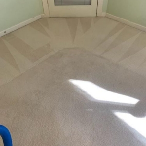 Photo of Carpet Recovery Plus