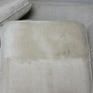 Photo of Carpet Recovery Plus
