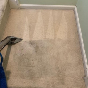 Photo of Carpet Recovery Plus