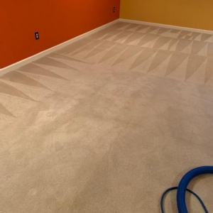 Photo of Carpet Recovery Plus