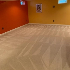 Photo of Carpet Recovery Plus