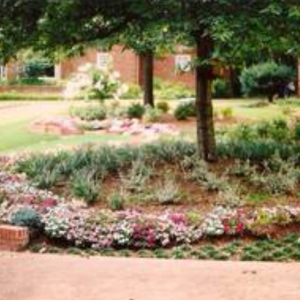 Photo of Dorriety Landscape